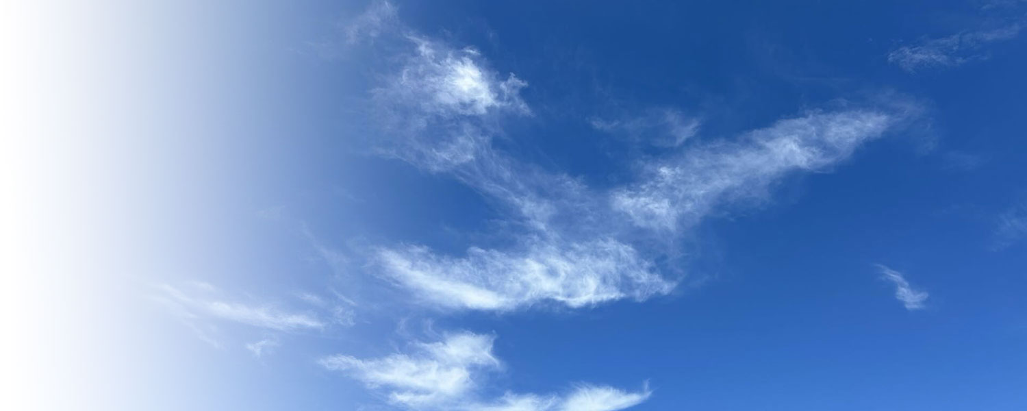 株式会社SORA｜人材紹介会社｜外国人材・定年後人材の紹介